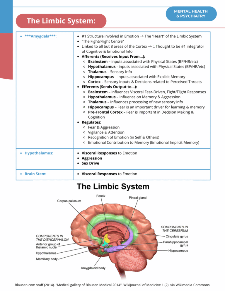 Screenshot 2025-07-29 at 11.34.39 AM