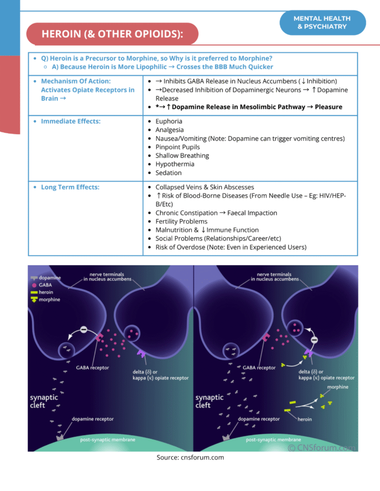 Screenshot 2025-07-29 at 11.36.45 AM